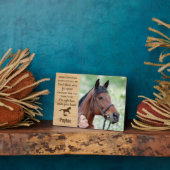 記念ウマ科の馬記念碑 フォトプラーク (側面)