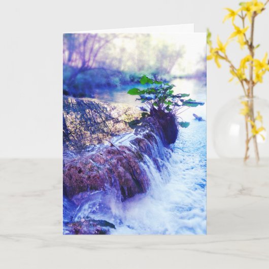 記念カードの水もや カード (黄色い花)