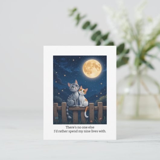 記念カードも猫をテーマにしたカードも シーズンカード (スタンド正面)