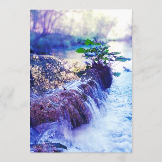 記念カード水霞 プログラム (正面)