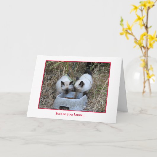 記念カード カード (黄色い花)