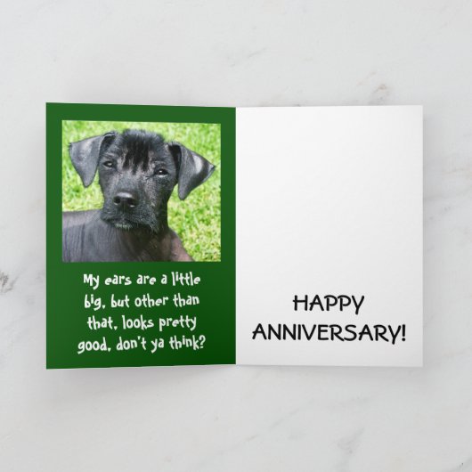 記念カード カード (内部)