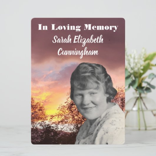 記念事業赤い夕日と木の写真 プログラム (スタンド正面)