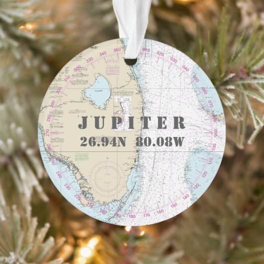 記念写真航海の両面ジュピターFL オーナメント (ツリー)