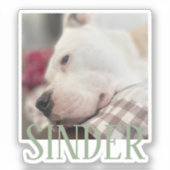 記念写真　パーソナライズド シール (正面)