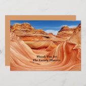 記念募金写真パラダイスありがとう 招待状 (正面/裏面)