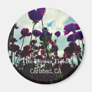 記念品の磁石: カールズバッド、カリフォルニアの花分野 マグネット