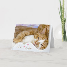 記念日のベッドでくつろぐ猫たち カード