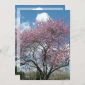 記念日の招待状 桜の木の下で 招待状 (正面/裏面)