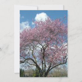 記念日の招待状 桜の木の下で 招待状