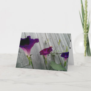 記念日の挨拶状 カード