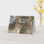 記念日の挨拶 カード (黄色い花)