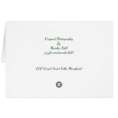 記念日を希望する風光明媚なイメージ (裏面横)