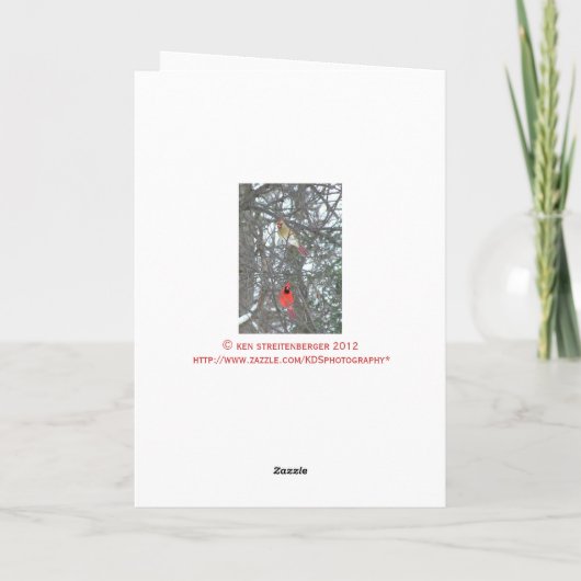 記念日カード、"オスおよびメスの（鳥）ショウジョウコウカンチョウ" カード (裏面)