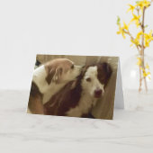 記念日カード、抱きしめている2匹の犬 カード (黄色い花)