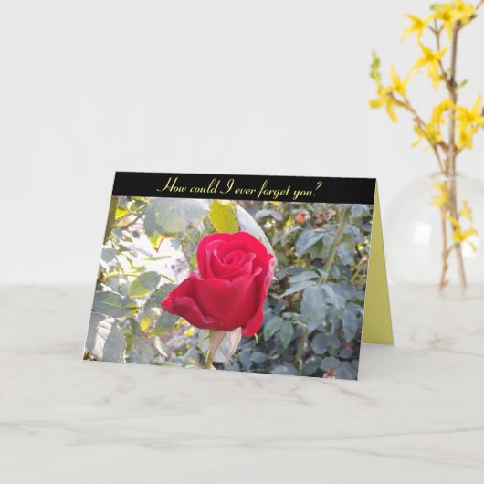 記念日カード(赤おもしろいいバラ) カード (黄色い花)