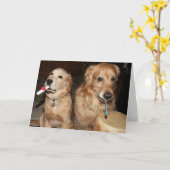 記念日調和 カード (黄色い花)