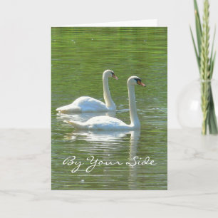 記念日、「おまえの側から」白い白鳥が二羽、 カード