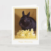 記念日-バニーおよびデイジーの挨拶状 カード (正面)