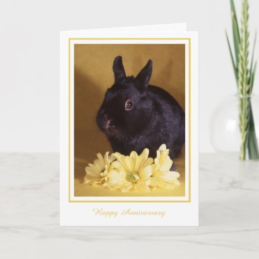 記念日-バニーおよびデイジーの挨拶状 カード (正面)