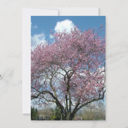 記念日 招待 桜の木 招待状 (正面)