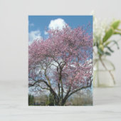 記念日 招待 桜の木 招待状 (スタンド正面)