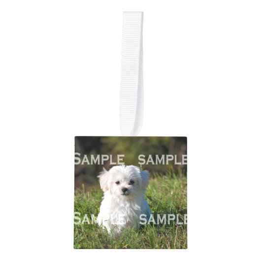 記念物5の写真の記念品|のカスタムを永久にかわいがって下さい キューブオーナメント (正面)