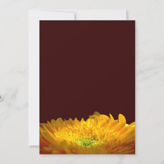 記念物/発表 案内状 (裏面)