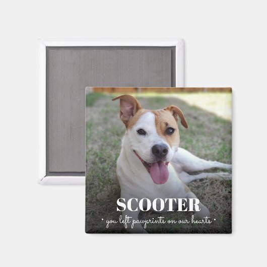 記念犬の写真のパウェプリントを私たちのハート マグネット (正面/裏面)