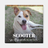 記念犬の写真のパウェプリントを私たちのハート マグネット (正面)