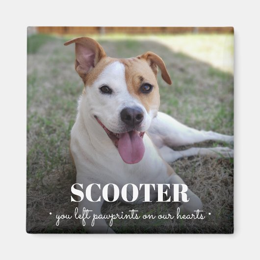 記念犬の写真のパウェプリントを私たちのハート マグネット (正面)