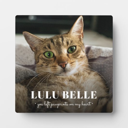 記念猫写真のパワプリントを撮ったハート フォトプラーク (正面)