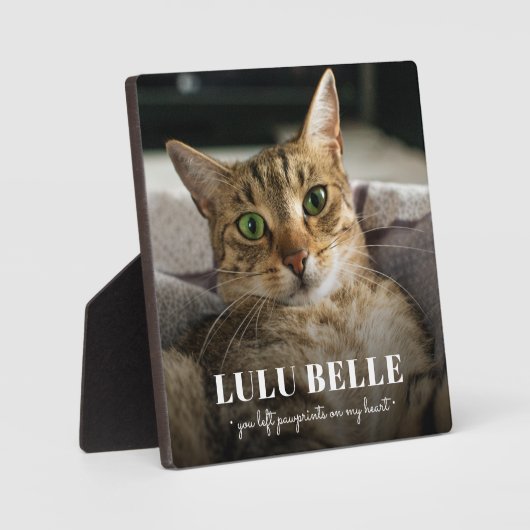 記念猫写真のパワプリントを撮ったハート フォトプラーク (正面)
