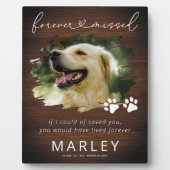 記念素朴撮ペット記念写真 フォトプラーク (正面)