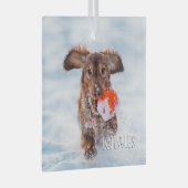 記念記念の記念撮影ペット ガラスオーナメント (正面右)