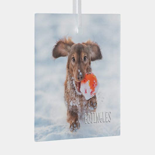 記念記念の記念撮影ペット ガラスオーナメント (正面右)