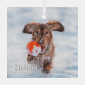 記念記念の記念撮影ペット ガラスオーナメント (裏面)