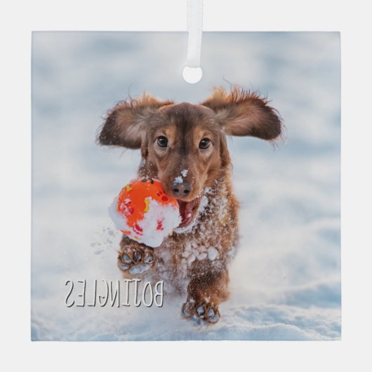記念記念の記念撮影ペット ガラスオーナメント (裏面)