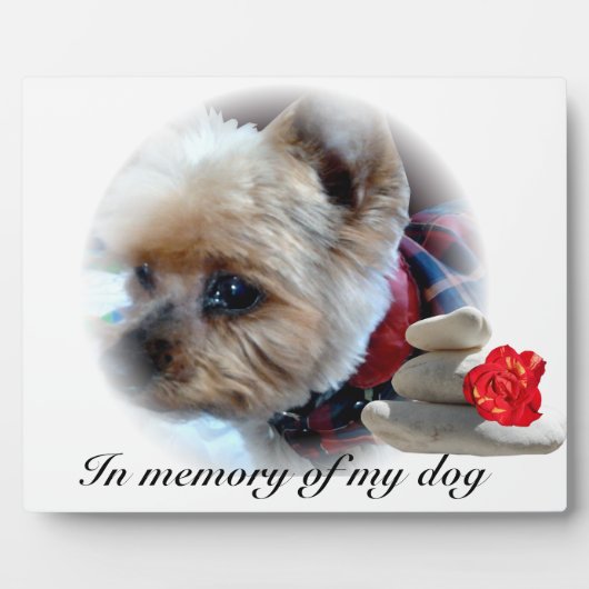 記念 フォトプラーク (正面)