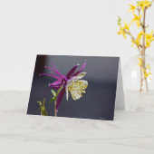 記憶のオダマキ（植物）の花とのNotecard カード (黄色い花)