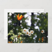 記憶の中で ポストカード (正面/裏面)