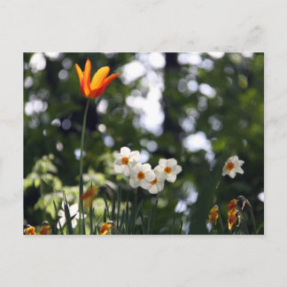 記憶の中で ポストカード