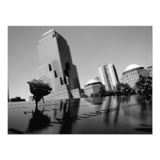 記憶の白いバラ フォトプリント            (正面)