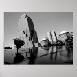 記憶の白いバラ ポスター