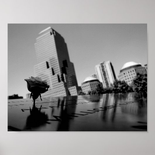 記憶の白いバラ ポスター (正面)