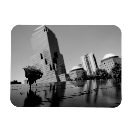 記憶の白いバラ マグネット (横)