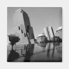 記憶の白いバラ マグネット