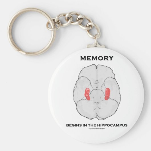 記憶は海馬から始まる(心理学) キーホルダー (正面)
