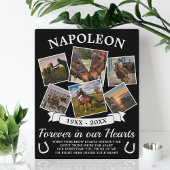 記憶を愛して フォトプラーク