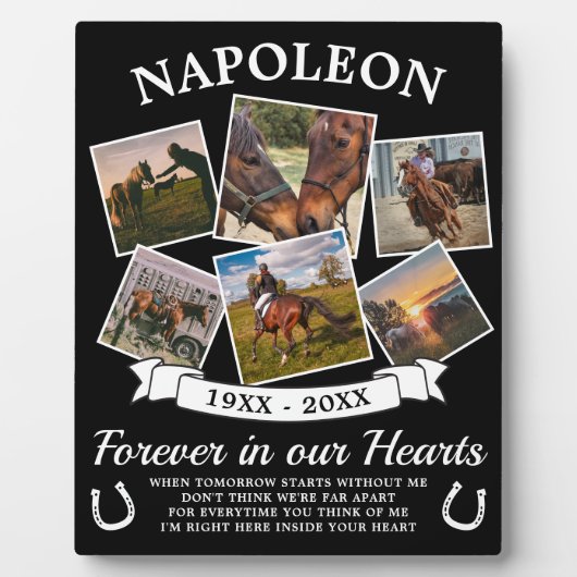 記憶を愛して フォトプラーク (正面)